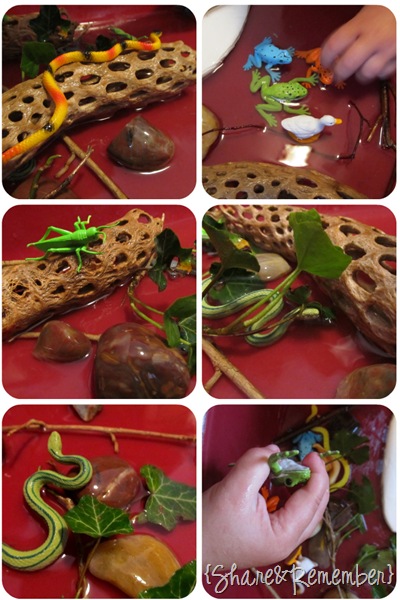 pond muck preschool ponds sensory theme table activities play animals teaching frogs frog